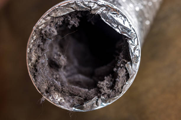 Best Affordable Duct Cleaning Services  in USA